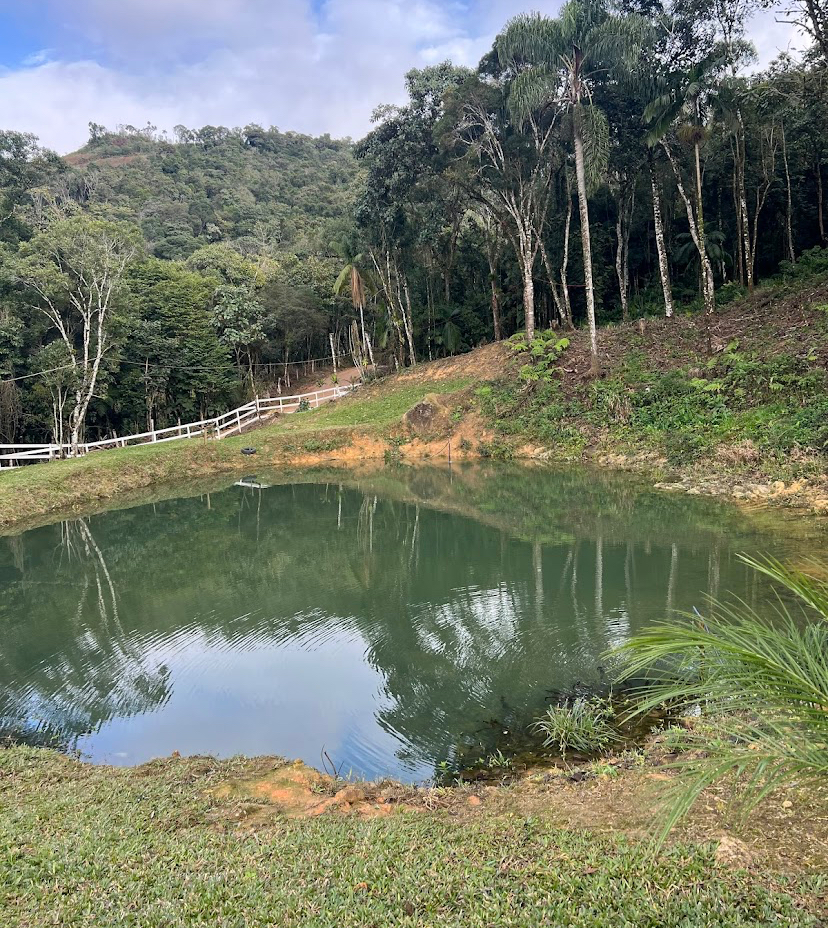 Lago natural cercado por mata