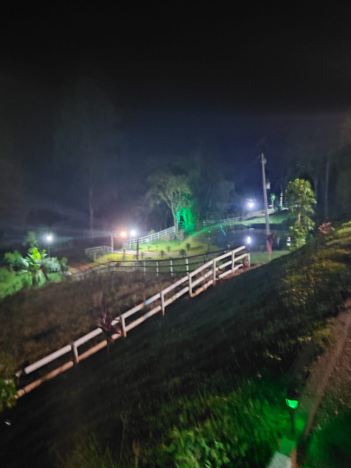 Jardim iluminado durante a noite