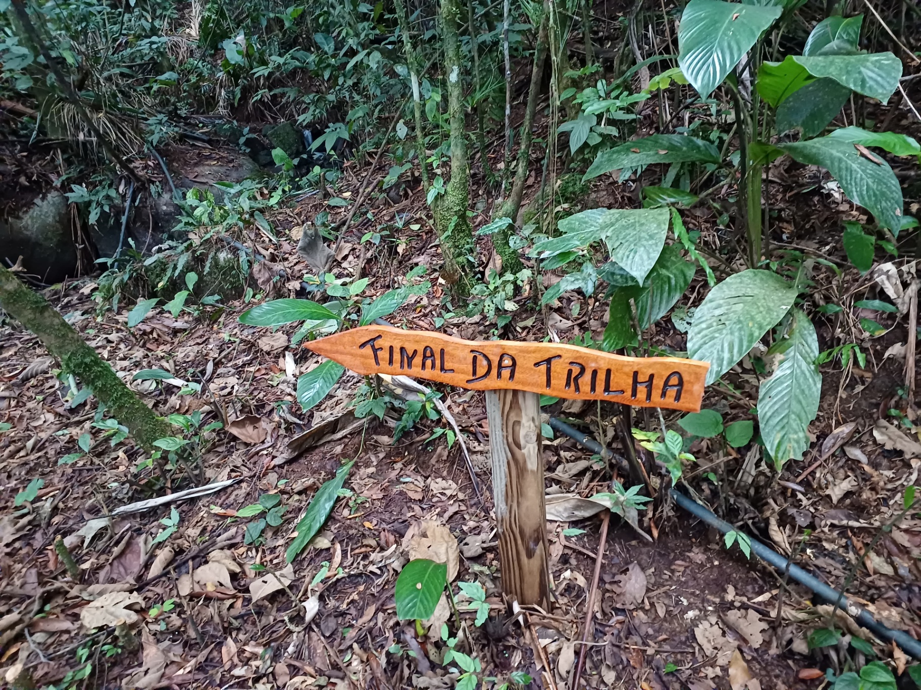 Final da trilha nos arredores